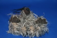 Hairy Henry